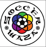 WAZA Soccer logo